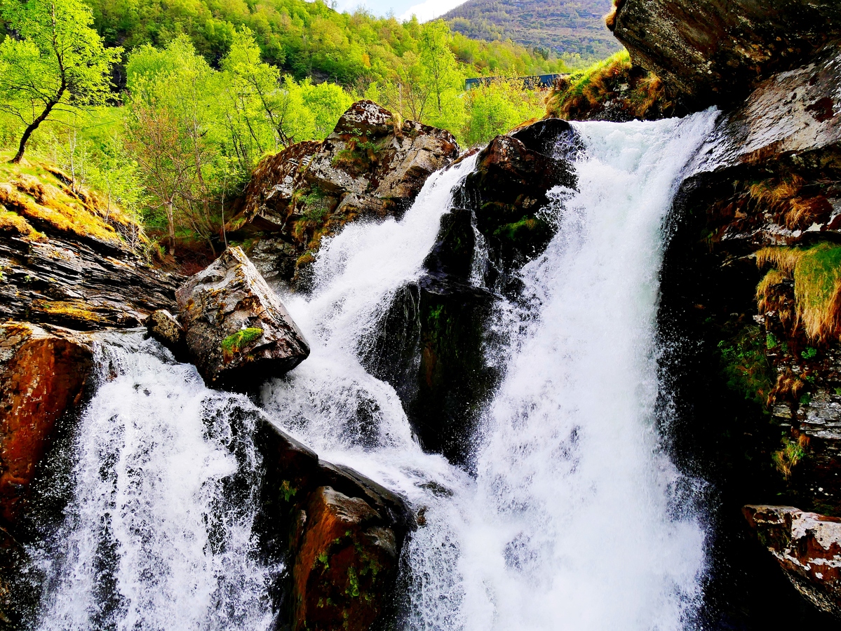 3rd. - Dave Robinson